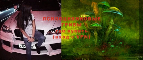 синтетический гашиш Алексин