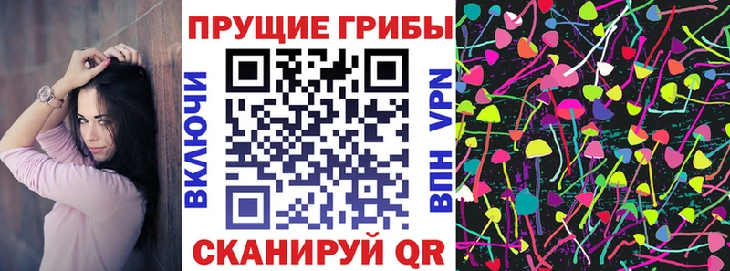МЕГА ссылка  Лаишево  Галлюциногенные грибы Psilocybine cubensis  где купить наркотик 